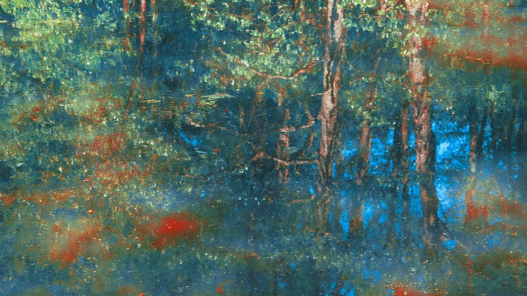 Impressionistic painting of forest trees reflected in water with hues of blue, green, and red creating a natural, tranquil scene.