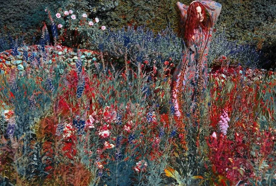 Adult woman stands in a field of colorful blooming flowers in an outdoor setting with green foliage and a stone wall background.