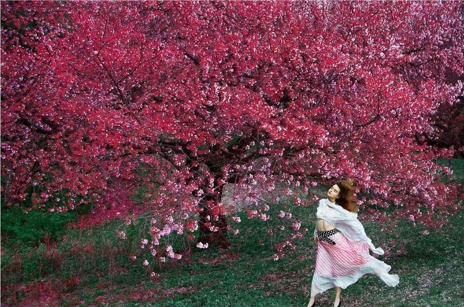 Adult woman stands in a flowing dress in a grassy field, with a large cherry blossom tree filling the background, shot in landscape format.