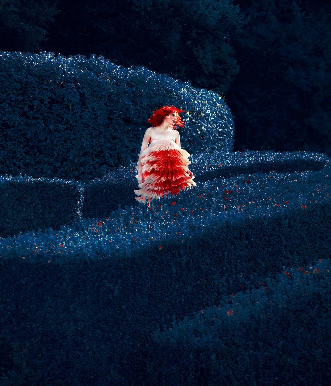 Artistic shot of a woman in a red and white dress amidst blue flowering bushes. The surreal and colorful scene creates a dreamy atmosphere.
