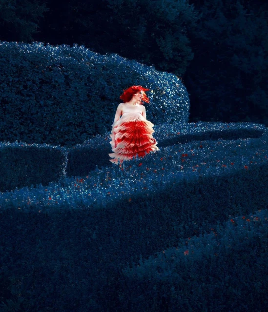 Artistic shot of a woman in a red and white dress amidst blue flowering bushes. The surreal and colorful scene creates a dreamy atmosphere.