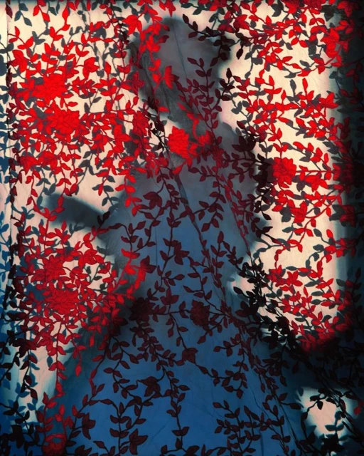 Abstract floral textile with a blurred silhouette. Red and black botanical patterns on a light backdrop. Artistic and evocative.