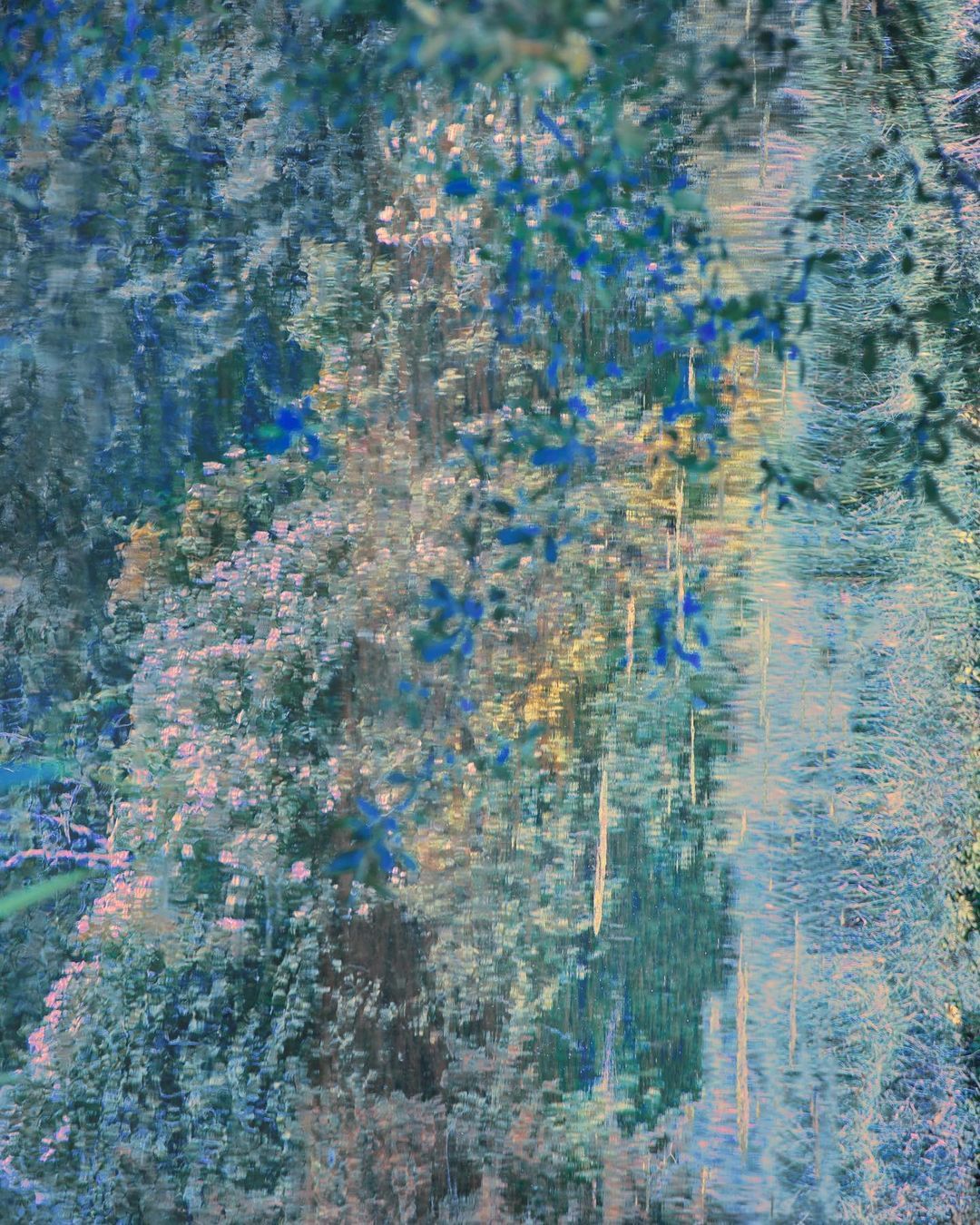 Artistic water reflection of a lush green forest with trees and foliage in cool blue tones, abstracting nature into a vibrant dreamy scene.
