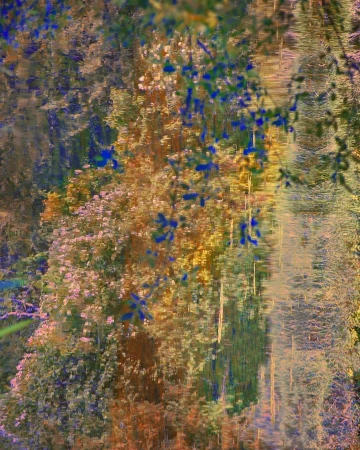 Impressionistic abstract landscape of a forest with trees and foliage reflected in water, creating a mirrored, blurred aesthetic.