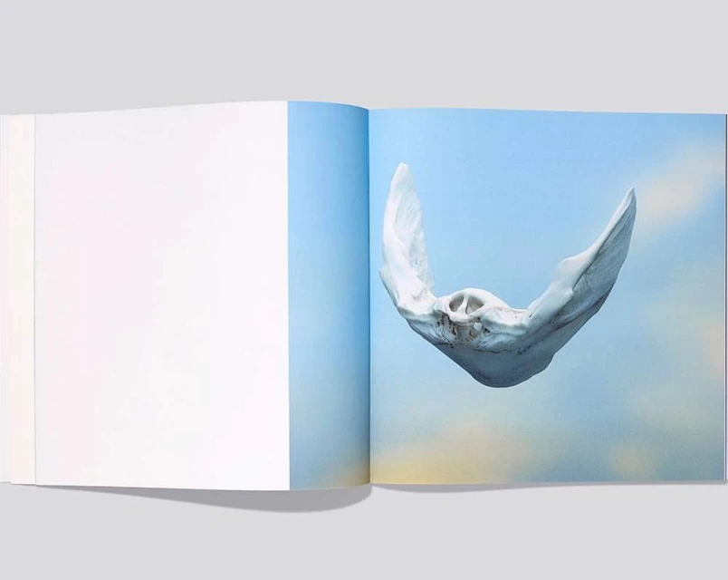 Open book with a surreal image of a white sculpture resembling a manta ray floating in a blue sky, creating an ethereal, artistic scene.