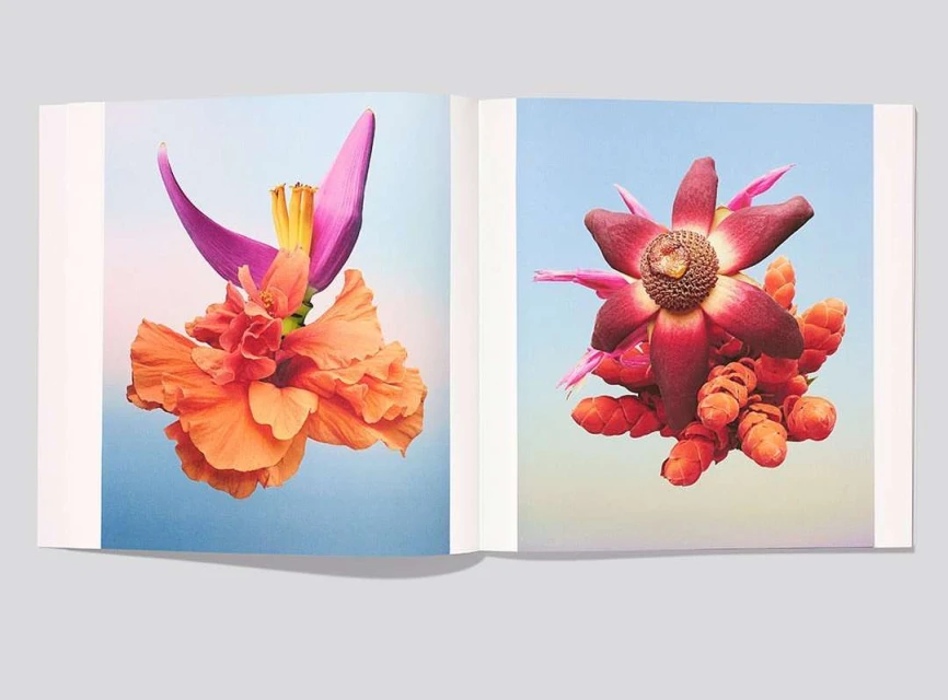 Two vibrant floral arrangements are featured in an open book, with a blue and white background that accentuates the floral colors.