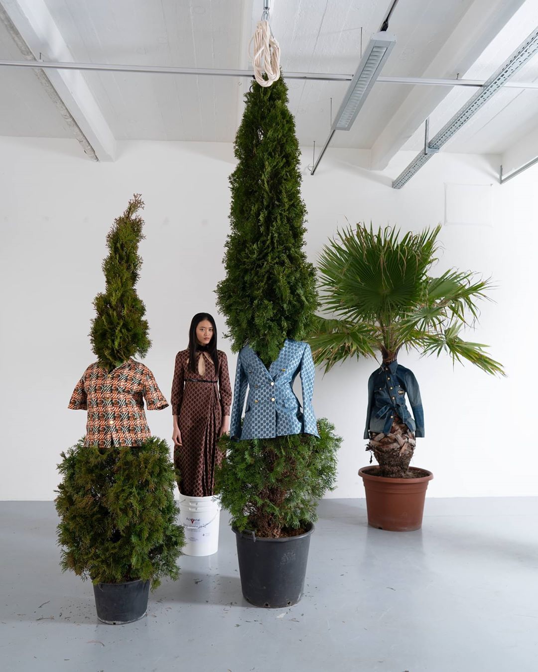 Indoor shot featuring four potted trees; tree on the right has a denim jacket, tree in the center has a blue blazer, and there is one woman.
