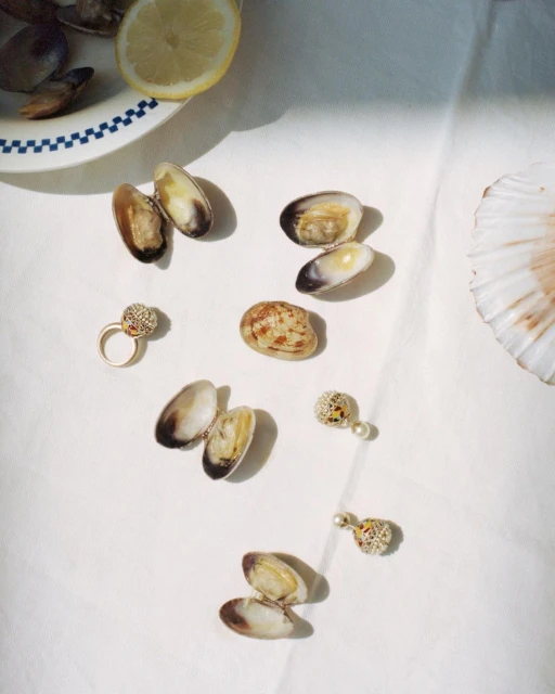 Overhead shot of sea shells, a lemon wedge, and jewelry scattered on white cloth, artfully arranged and lit with soft daylight.