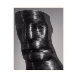 Close up monochrome photograph of a dark, layered 3D printed sculptural head with visible horizontal strata lines.