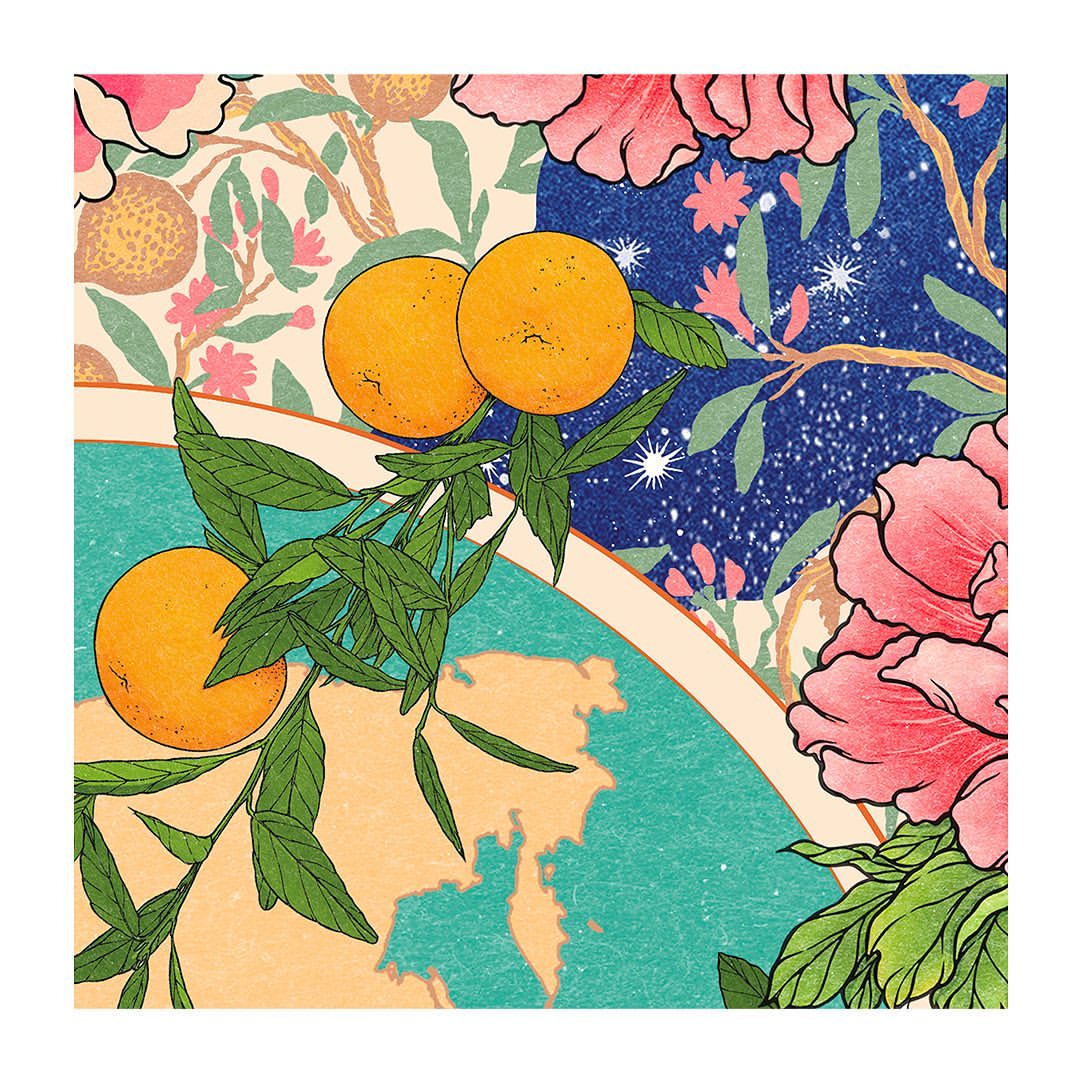 Illustration of oranges and peonies with a world map and star pattern in the background, botanical drawing style.
