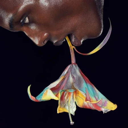 Close-up profile of a black person biting into a vibrant, multi-colored painted lily against a solid black background.