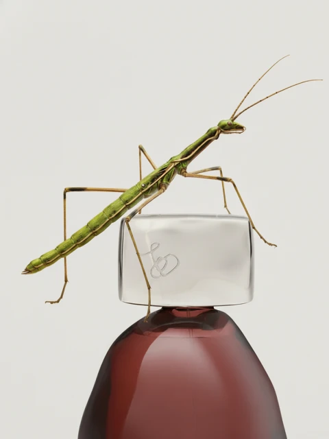 Close-up of a green stick insect perched atop a gradient purple and clear glass bottle against a clean, bright white backdrop.