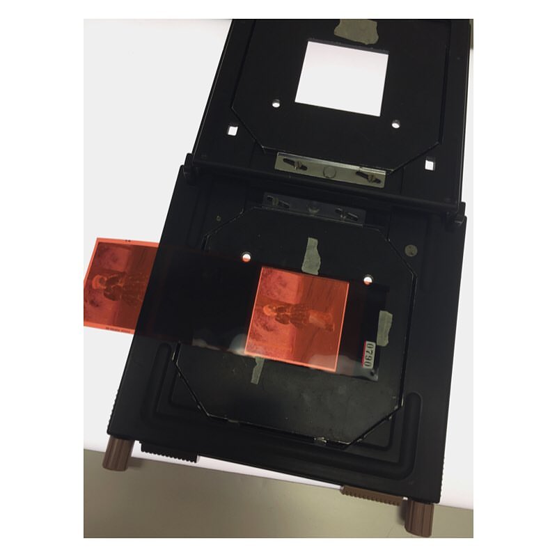 Film negative carrier holding film negatives against a white background. Film negatives are orange with visible silhouette of a person.