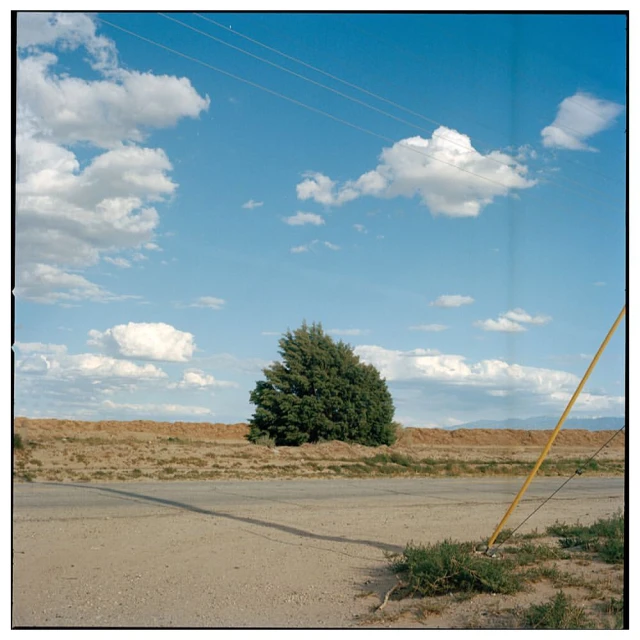 Rural landscape featuring a green tree, a dirt road, and a clear blue sky with fluffy clouds on a sunny day in a remote environment.