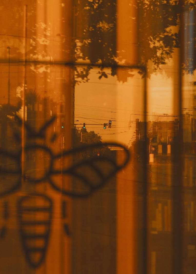 Street view seen through a window with a bee drawing; the sunlight filtering through creates an orange color cast.