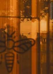Close-up of a glass window featuring a printed bee graphic with a warm amber reflection of a city street and overhead traffic lights.