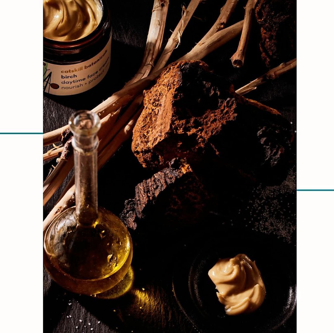 A still life captures skincare cream, oil, and birch fungus on a dark surface, emphasizing natural beauty ingredients.