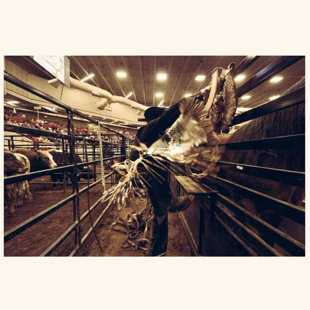 Indoor rodeo event featuring a cowboy preparing equipment in a pen, with blurred audience in the background, under bright arena lighting.