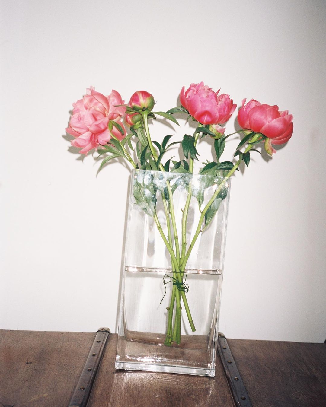 Still life of pink peonies in a glass vase on a wooden surface against a white wall, showcasing floral arrangement and interior decor.
