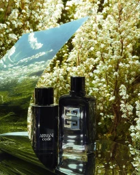 Two perfume bottles placed on a reflective surface outdoors against a backdrop of small white flowers and foliage.