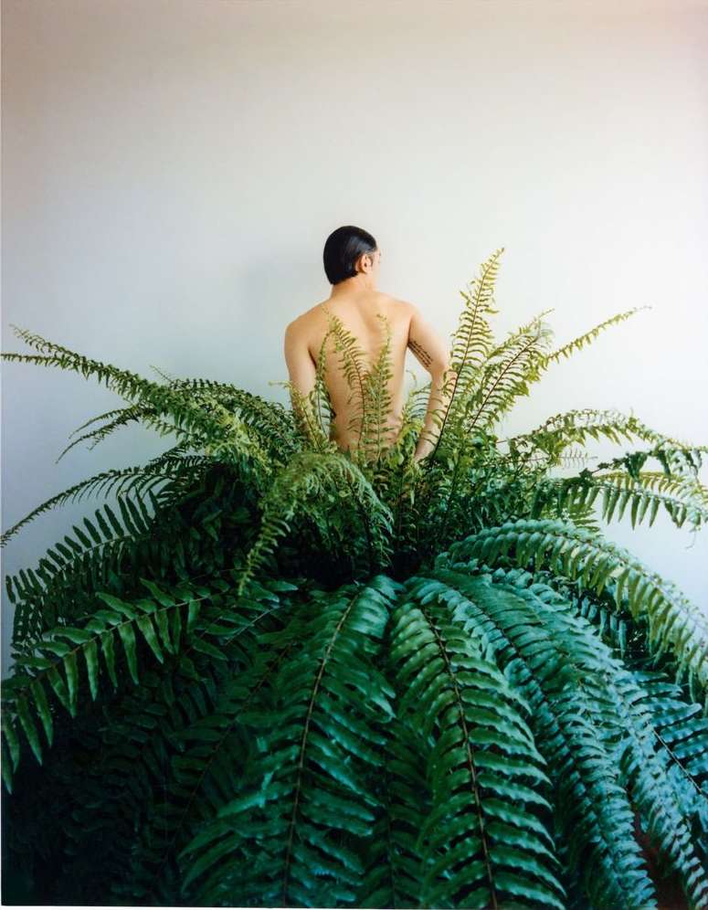 Back view of a shirtless adult male standing behind a large green fern plant against a neutral wall in a brightly lit indoor setting.