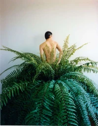 Shirtless person viewed from behind emerging from lush green fern plants against a plain white wall