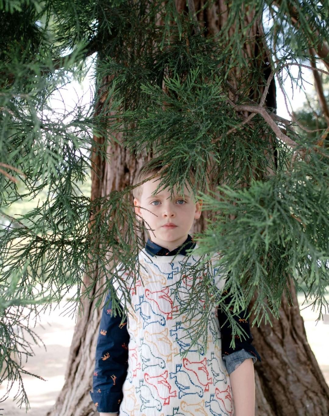 A young child stands amid green branches against a tree trunk, gazing directly forward with a neutral expression.