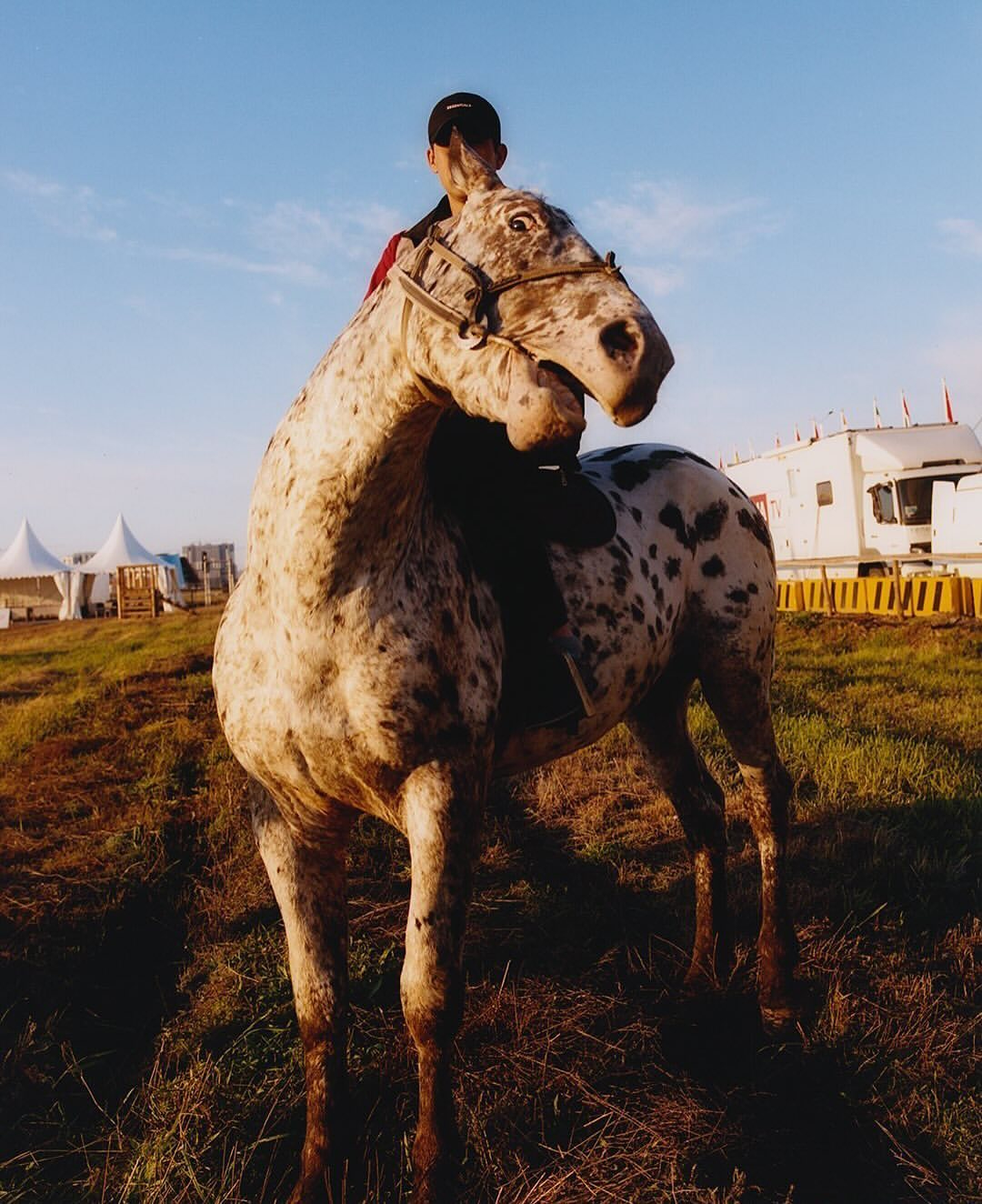 Spotted horse with rider in field near white tents and trucks, bathed in warm sunlight under a blue sky. Equine photography.
