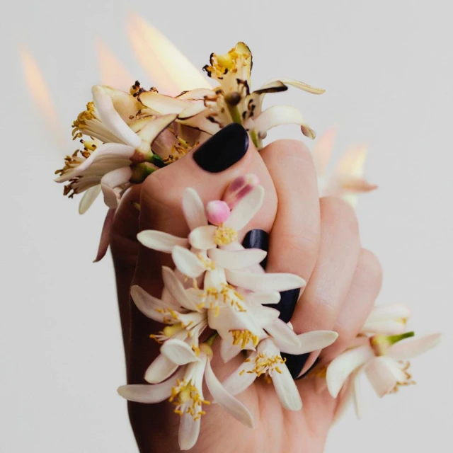 Close-up of a hand clenching flowers, some in flame, with polished black nails against a white background. Beauty product promotion.