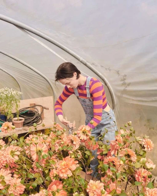 Woman in overalls cuts peach-colored flowers inside a greenhouse with diffused light. Plants are abundant in the foreground.
