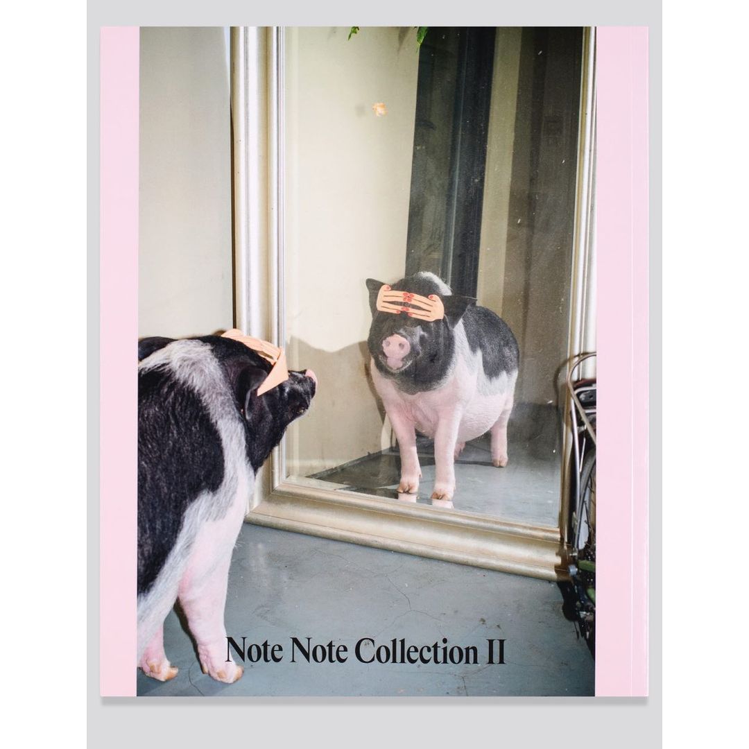 A pig with a bandage on its head looks at its reflection in a mirror indoors, in a humorous, lighthearted image.