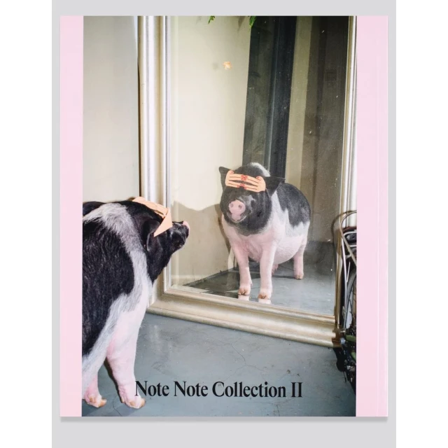 A pig with a bandage on its head looks at its reflection in a mirror indoors, in a humorous, lighthearted image.