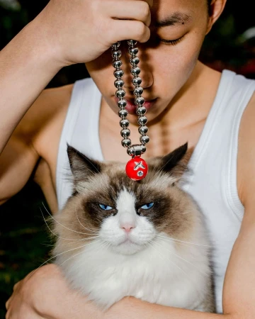 Person holding a cat with a decorative silver ball chain necklace featuring a red pendant. The cat has a grumpy expression.