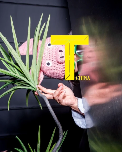 Still life of a person holding a houseplant with a pink crocheted pig on top, next to a shiny, reflective surface.