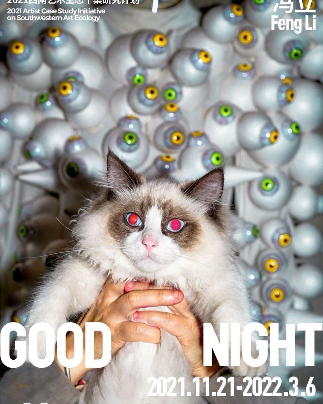 Ragdoll cat with red eyes held in front of a backdrop of eyeballs in an artful studio setting, presenting a surreal, eye-catching image.
