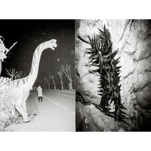 Monochrome photograph featuring a dinosaur statue on a roadside and a cluster of spiked objects in a cave-like setting, presented as a diptych.