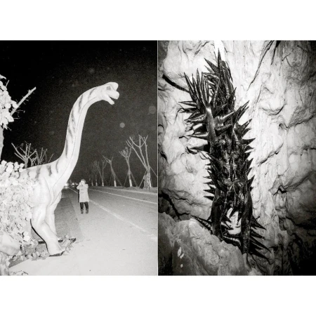 Monochrome photograph featuring a dinosaur statue on a roadside and a cluster of spiked objects in a cave-like setting, presented as a diptych.