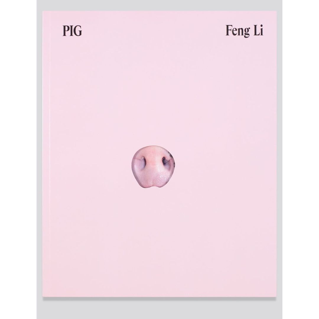 Minimalist image featuring a pink pig's snout centered on a light pink background, evoking a modern and clean aesthetic with the title 'PIG'.