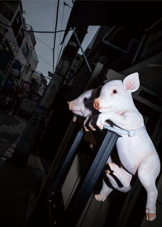 Two piglet figurines secured with a gray strap to a black ladder against a dark, urban street scene with gray sky overhead.