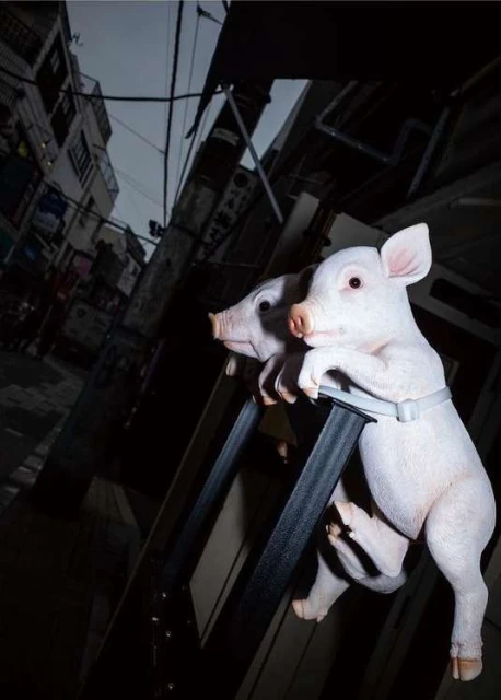 Two piglet figurines secured with a gray strap to a black ladder against a dark, urban street scene with gray sky overhead.