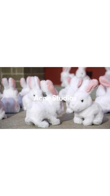 Numerous white plush rabbit figurines with pink ears are displayed indoors on a gray surface, illuminated by natural lighting.