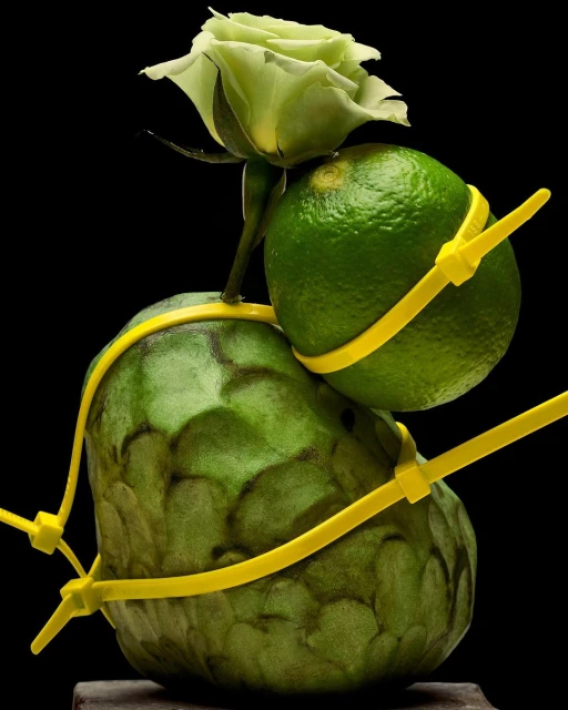 Still life of a cherimoya, lime, and green rose bound with yellow zip ties, set against a solid black backdrop in studio lighting.