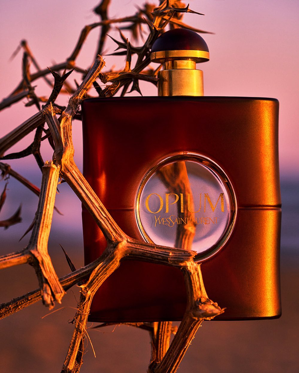Studio shot of a dark brown Opium Yves Saint Laurent perfume bottle surrounded by thorny branches against a soft pink and purple background.