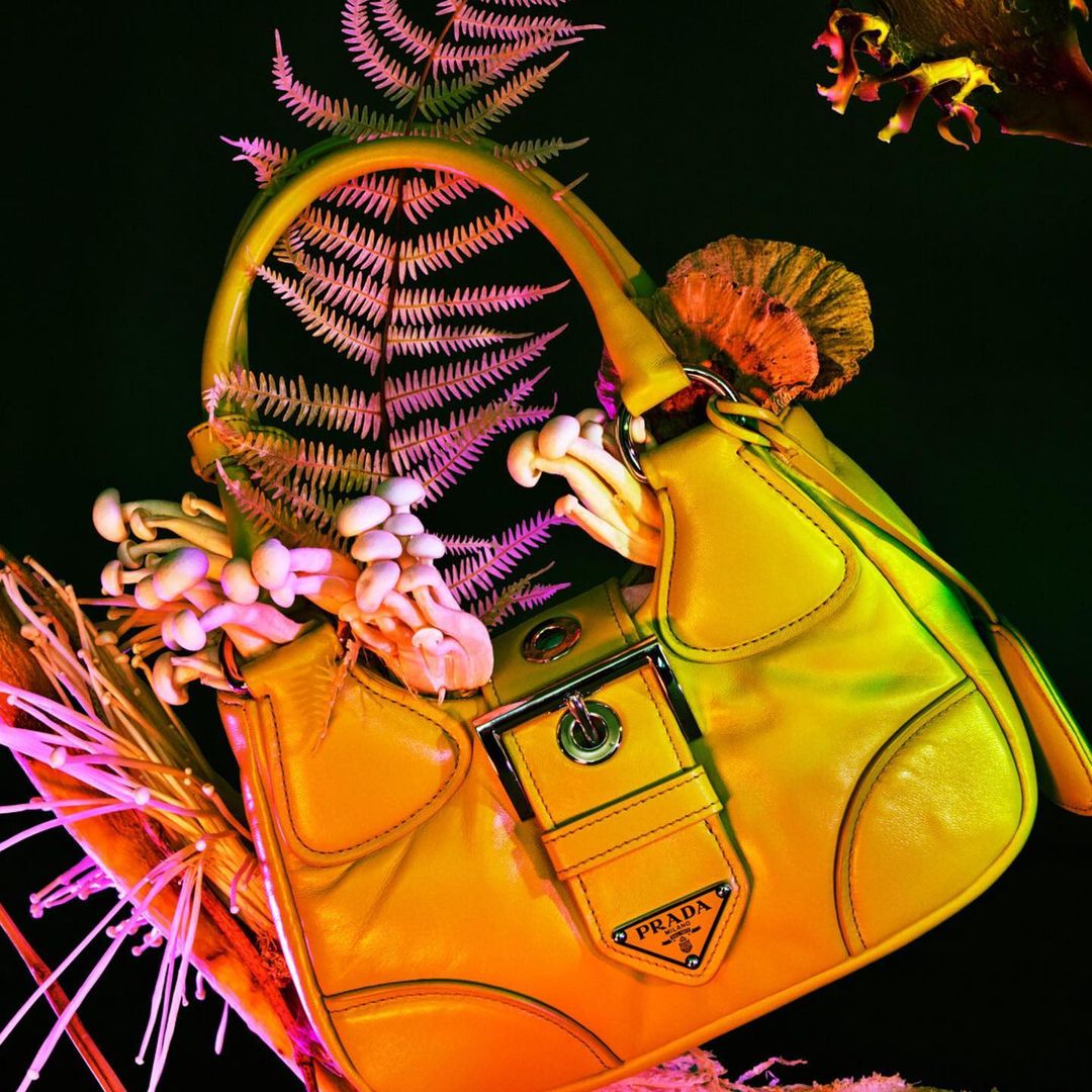 Yellow Prada purse with ferns and mushrooms sticking out of it against a black background, product studio-style photography.