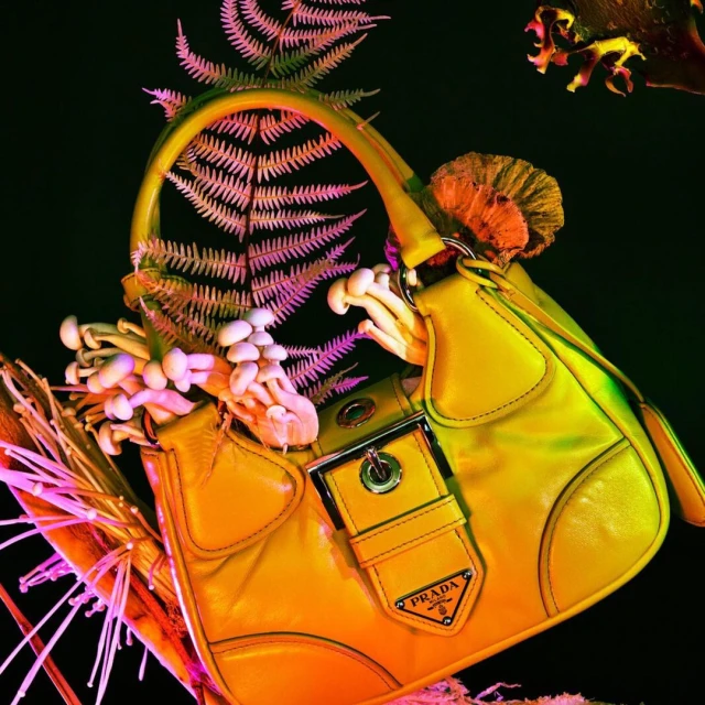 Yellow Prada purse with ferns and mushrooms sticking out of it against a black background, product studio-style photography.
