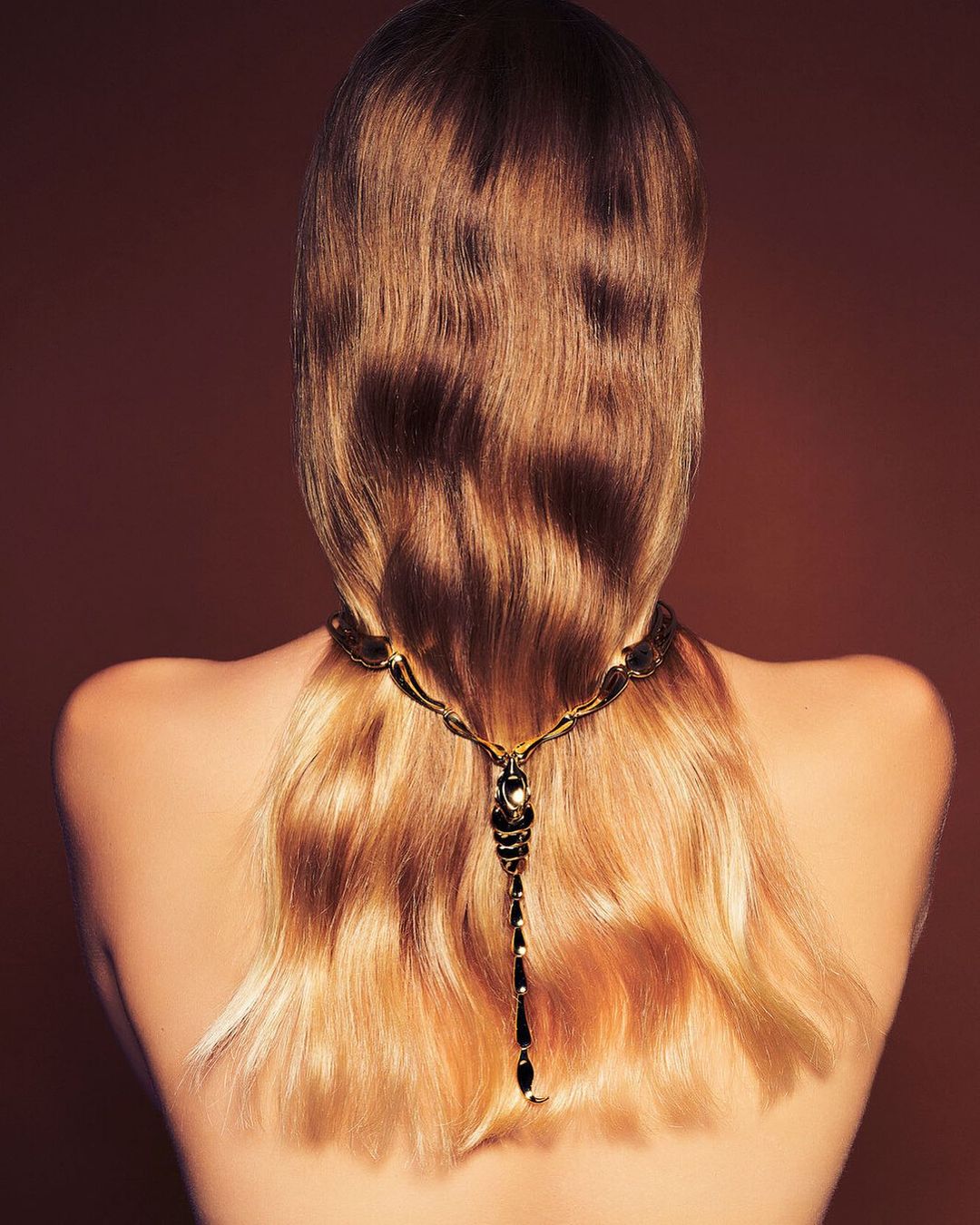 Back view of a woman with long blonde hair and a decorative gold and black necklace against a plain brown backdrop in a studio setting.