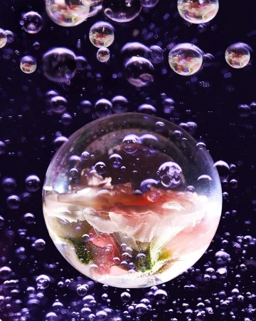 Macro photograph of a large water bubble containing white and pink flowers, surrounded by smaller bubbles against a dark purple background.