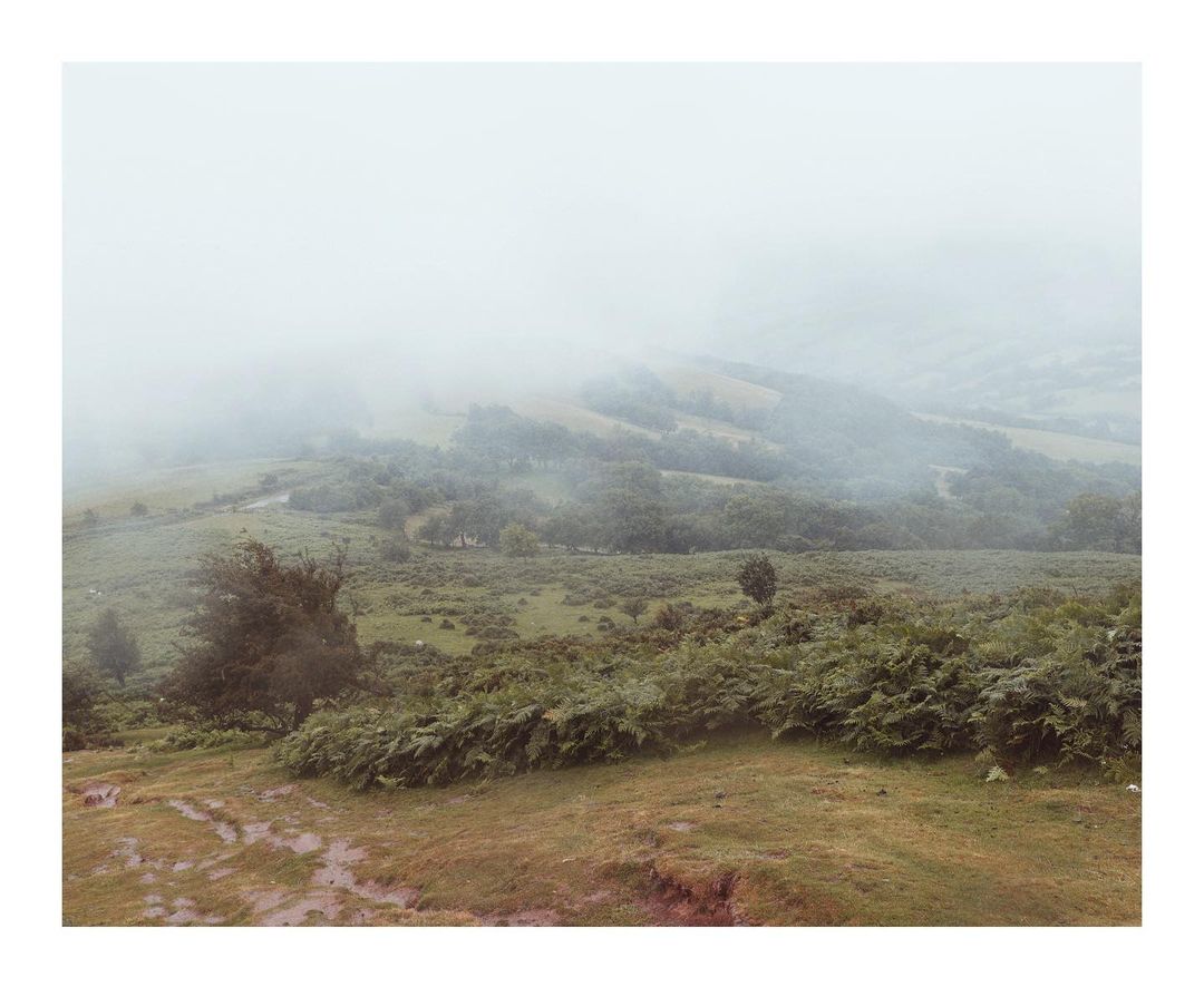 Foggy landscape featuring a hillside with dense green vegetation and trees, shrouded in a heavy mist, creating a serene and atmospheric scene.