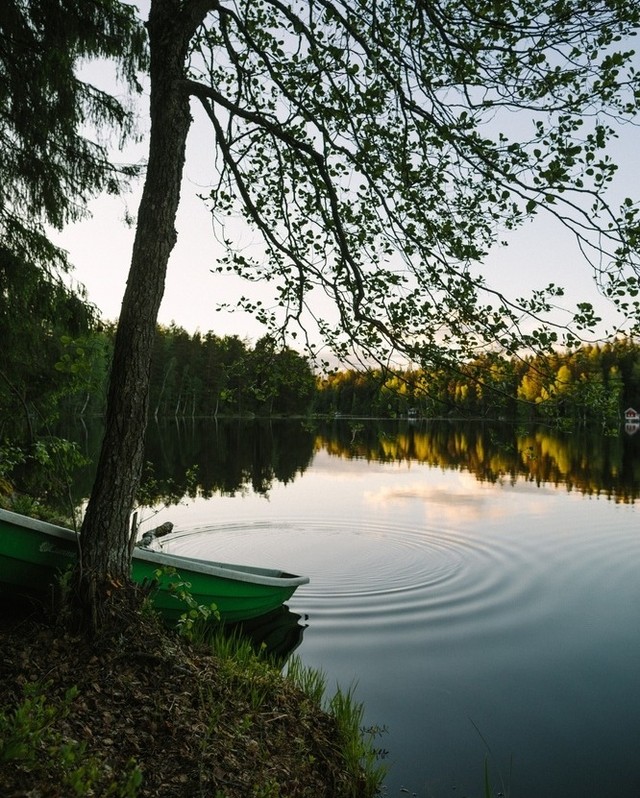 Scenic view of a calm lake with green rowboats docked near trees, reflecting the surrounding forest and sky.