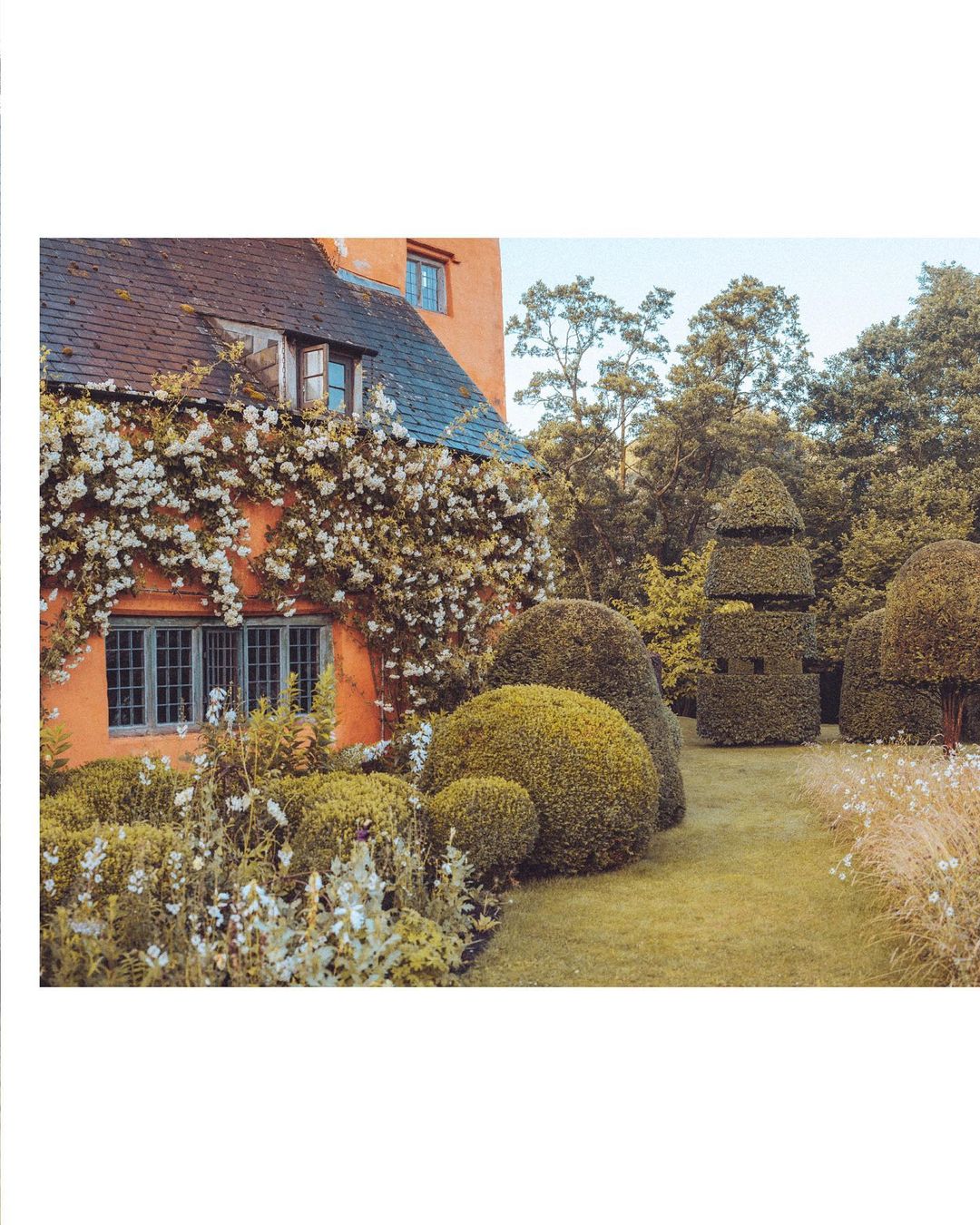 Exterior of a charming cottage house with peach-colored walls covered in white climbing roses, surrounded by a lush green garden with topiary.